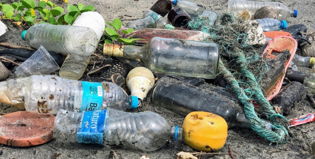 Plastic Waste on a Beach